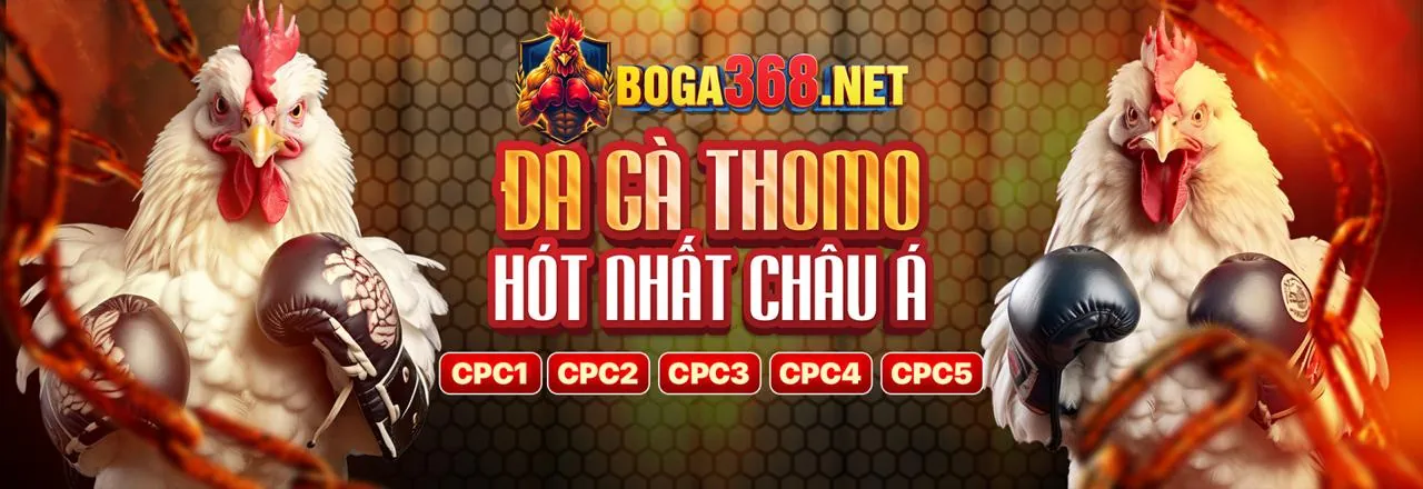 Đá gà trực tuyến K89 link vào chính thức